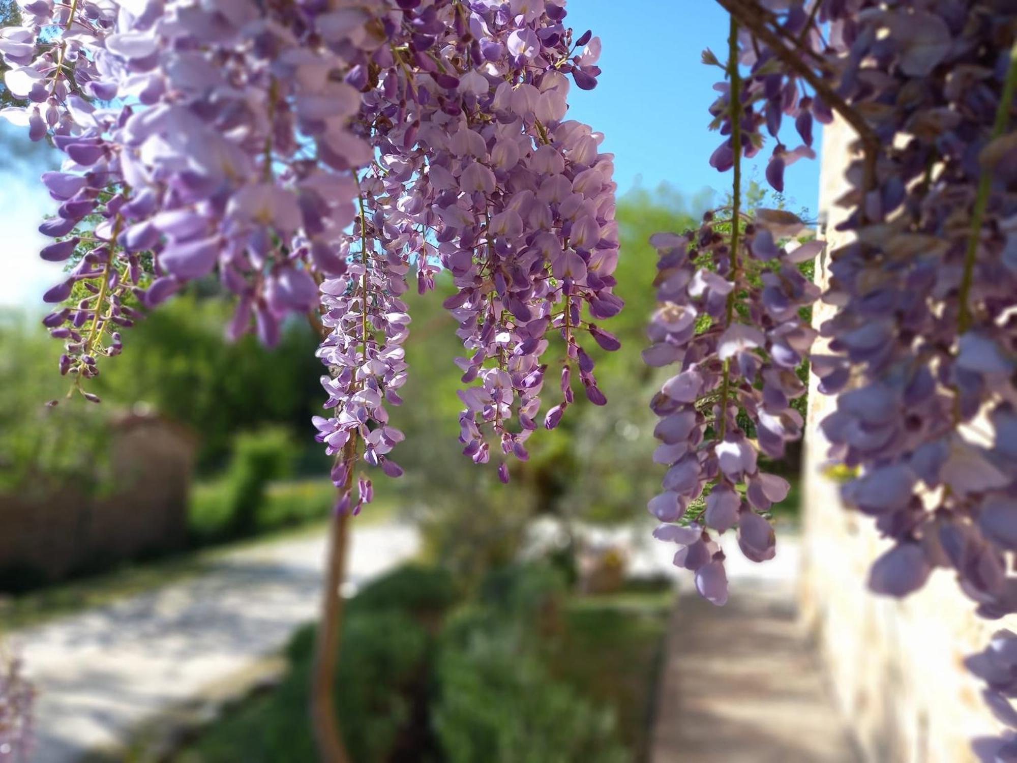 Il Casale Di Aurora Country House Colmurano Exterior photo